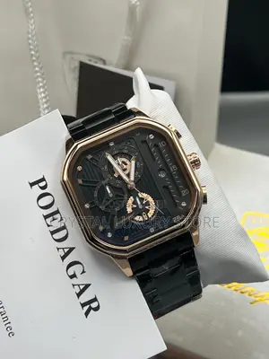 Poedagar Quality Luxury Wristwatch
