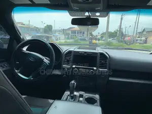 Ford F-150 2016 Gray