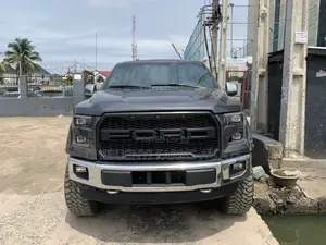 Ford F-150 2016 Gray