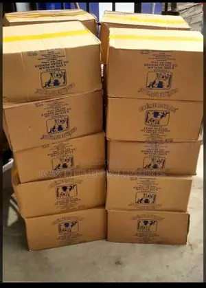 Ice Cream Powder