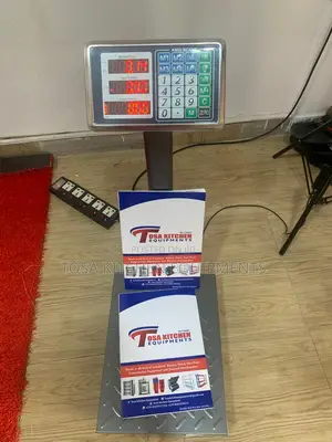 Digital Standing Scale
