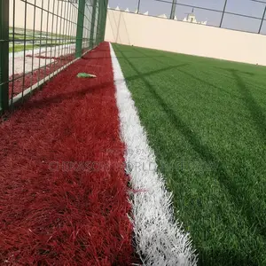 Standard Football  Grass