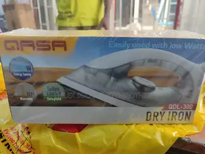 300watts Inverter Pressing Iron