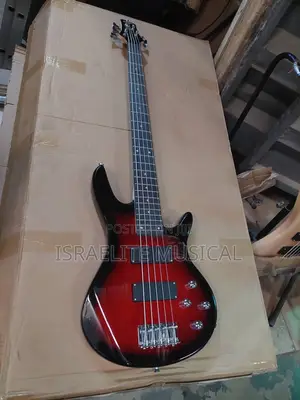Quality 5 String Bass Guitar With Bag