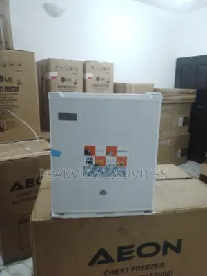 Energy-Saving Skyrun BCD-55A 50LITRES Door Fridge