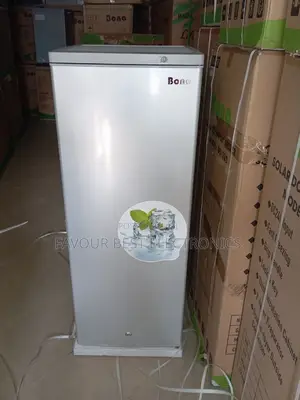 New Bona Solar Upright Freezer (7 Steps) Fast Freezing
