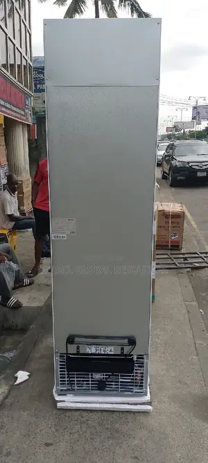 Hisense Standing Sheila 282l