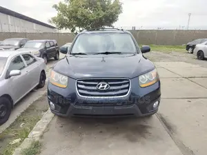 Hyundai Santa Fe Limited 2010 Blue