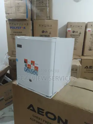 100% Popular 50litres Skyrun Single Door Fridge BCD-55a
