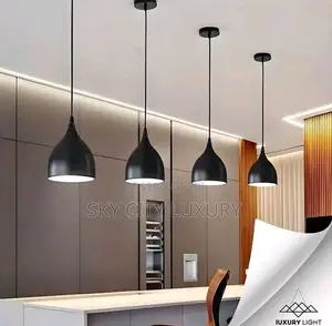 Single Pendant Light