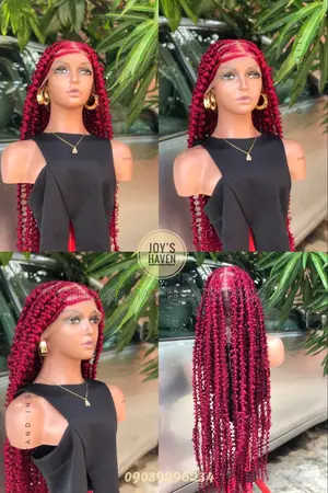 Butterfly Braids