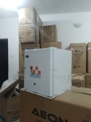 Highly Effecfive Skyrun 50litres Single Door Fridge BCD-55a