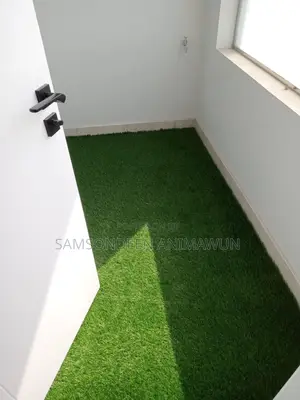 Premium Artificial Grass (Free Delivery)
