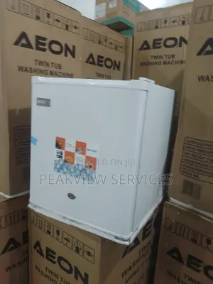 Eco-Friendly 50litres Skyrun Single Door Fridge BCD-55a