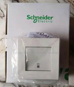 Original Schneider 20 Amps Ac/Water Heater Switch