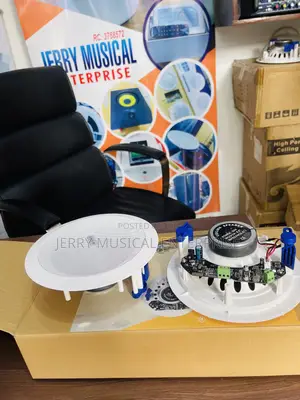 High Quality Bluetooth Ceiling Speakers