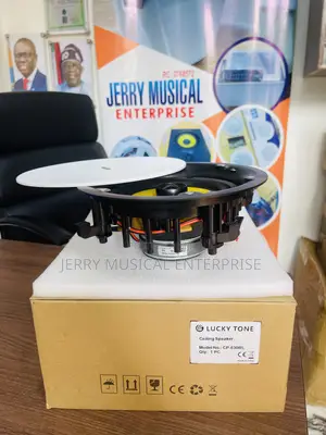 High Quality Frameless Lucky Tone Ceiling Speakers
