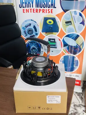 60watts Woofer Frameless Ceiling Speakers