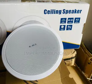 50watts Lucky Tone Ceiling Speakers