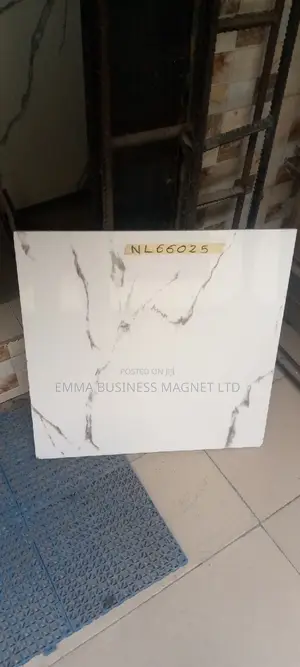 60×60 High Quality China Tiles
