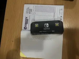 Very Neat Nintendo Switch Lite