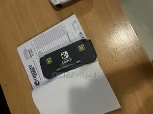 Very Neat Nintendo Switch Lite