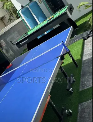 Table Tennis With Snooker Board