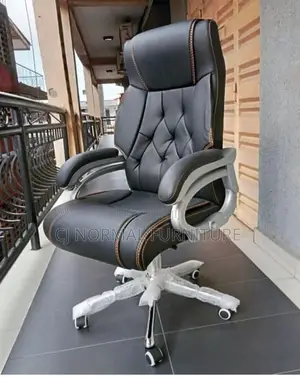 Executive Office Chair for Healthy Seating Position