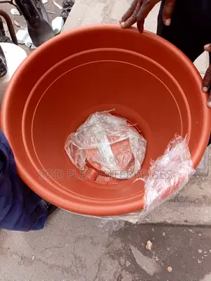 Biggest Round Pot With Tray