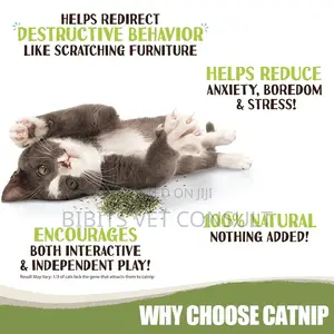 Catnip Leaf 45ml