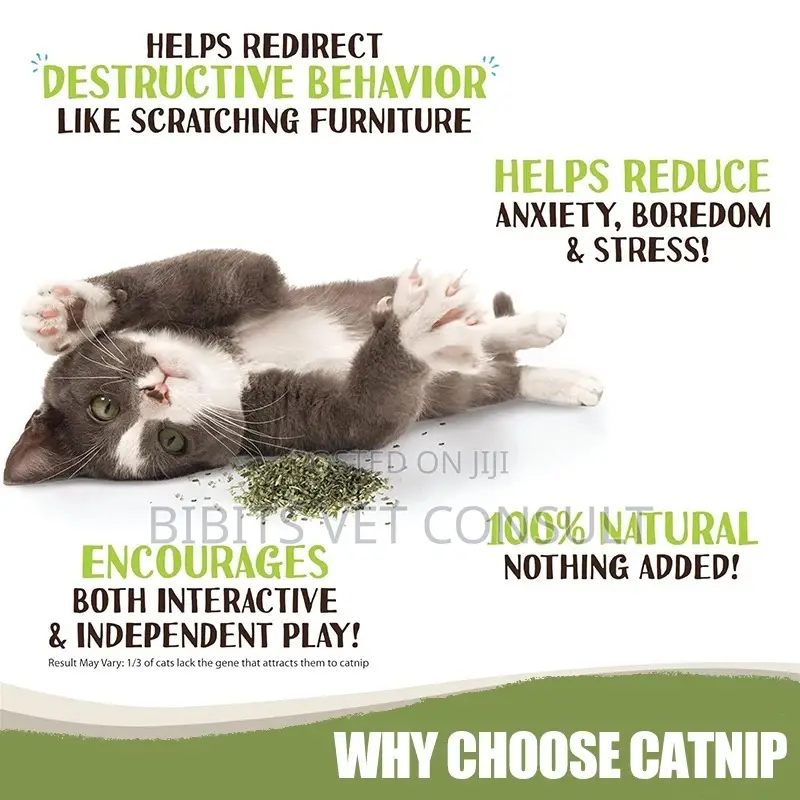 Catnip Leaf 45ml