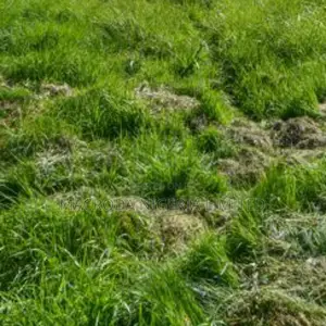 A Plot of Land Measuring Approximately 520.817sqm