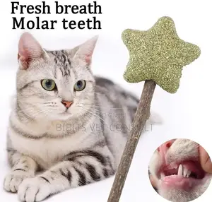 Lollipop Shape Catnip Toys