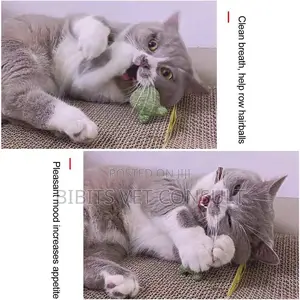 Lollipop Shape Catnip Toys