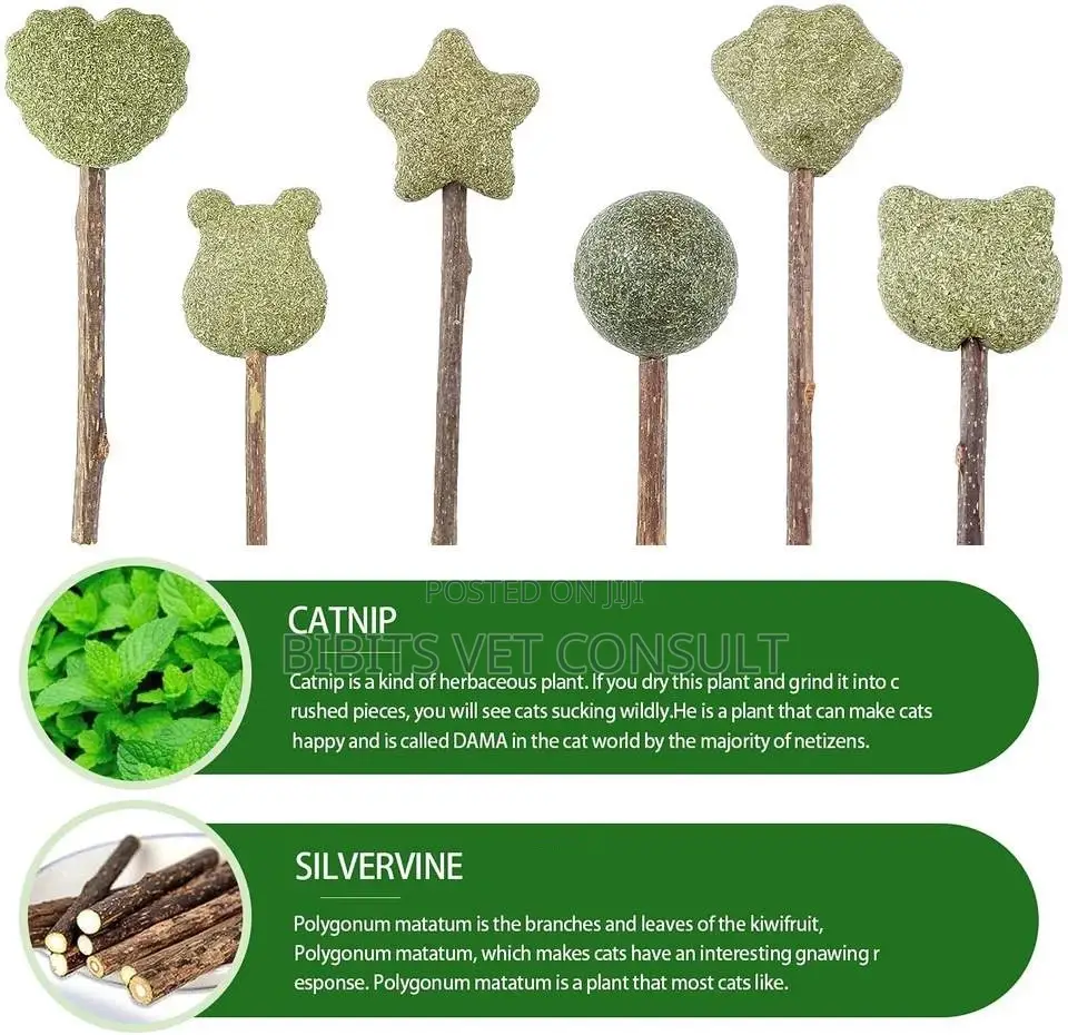 Lollipop Shape Catnip Toys