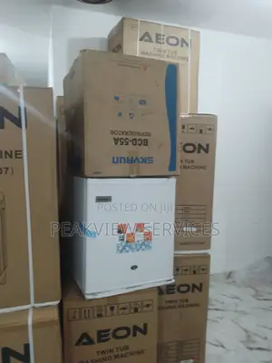Fantastic Brand 50lits Skyrun Single Door Fridge BCD-55a