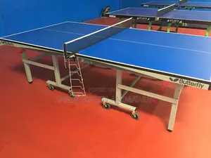 Outdoor Table Tennis (Free Delivery)