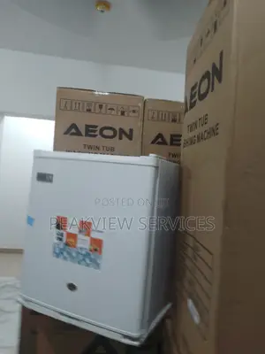 Highly Dependable Skyrun 50lits Single Door Fridge BCD-55a