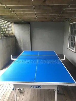 Premium Table Tennis (Free Delivery)