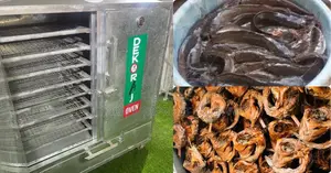 Get Perfectly Dried Catfish Every Time With Our 400pcs Oven
