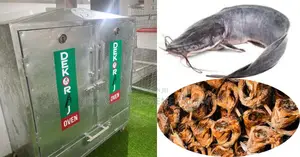 High-Capacity, High-Efficiency: 400pcs Catfish Drying Oven