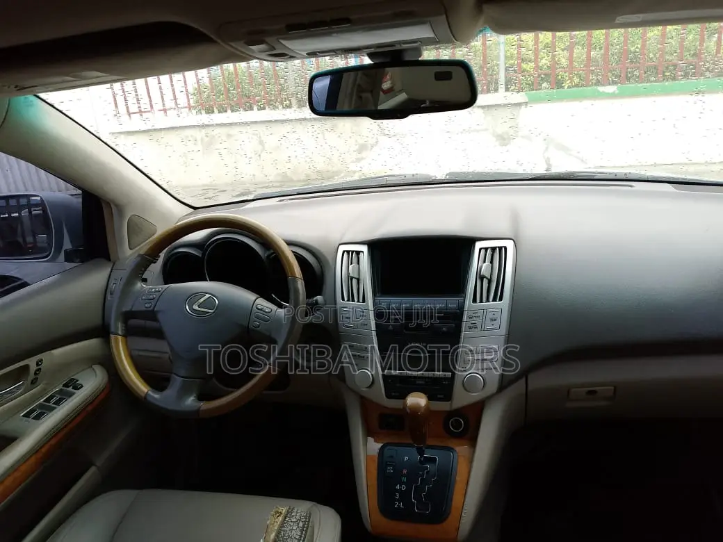 Lexus RX 350 2009 Silver