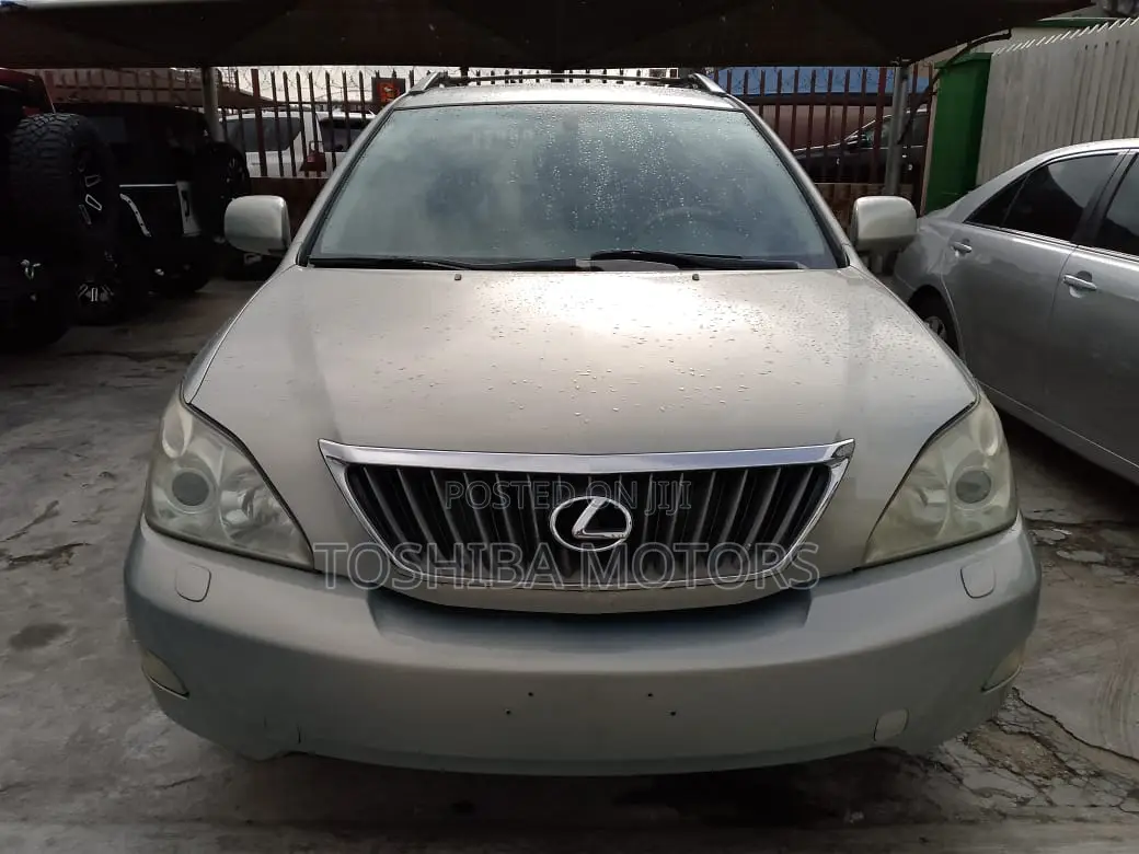 Lexus RX 350 2009 Silver