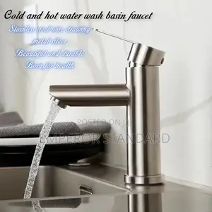Stainless Steel Hot and Cold Water