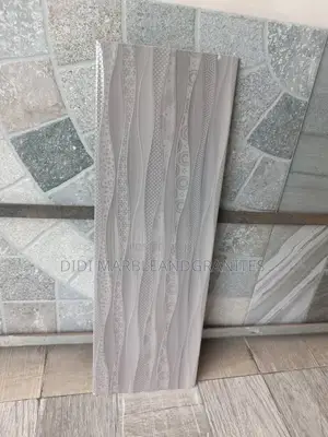 60x20 Spanish Toilet Wall Tiles