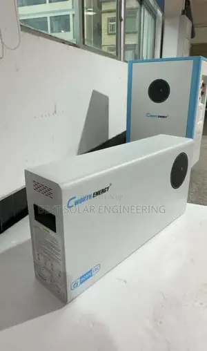 10kwh Cworth Lithium Ion Battery (Cworth Energy)