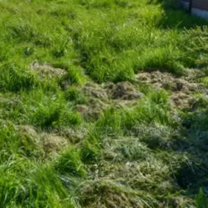 LAND FOR SALE at Atunrase Estate. Gbagada.