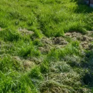 3plots Of Land Directly On Iju Road Near Ifako Int'l School