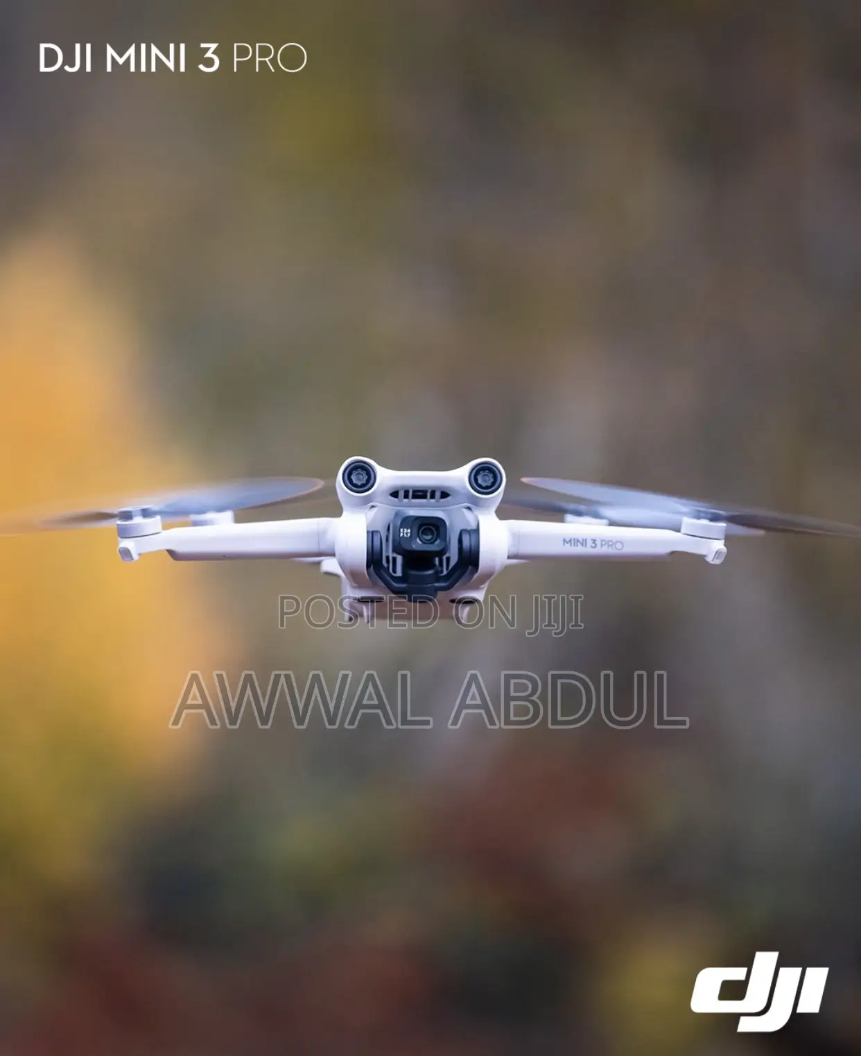 Drone Pilot