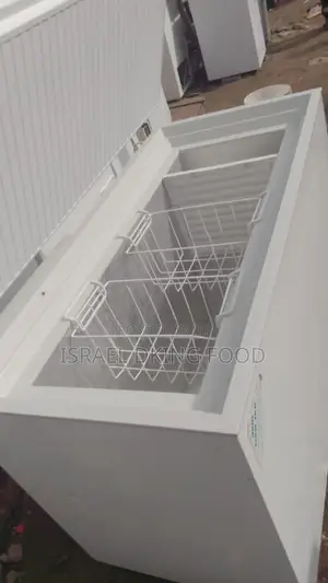 300 Industrial Electric Foreign Aeg London Used Deep Freezer